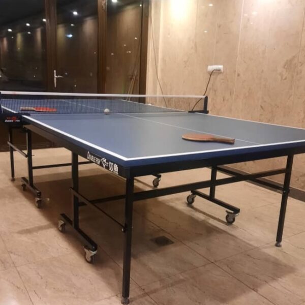 میز پینگ پنگ دبل فیش 25 میل تاشو اصل